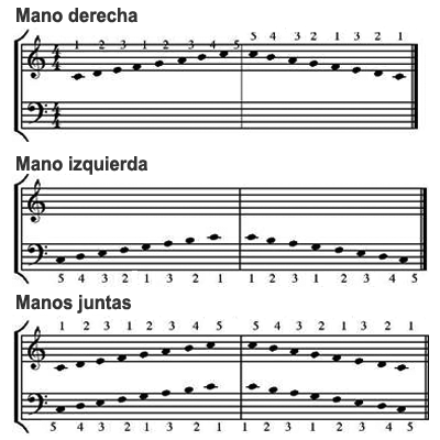 image La gama