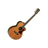 Formation Guitare