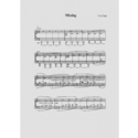 Missing  Partition + Mp3