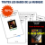 Toutes les bases de la musique ! Collection 10 Livres + 10 Dvd + 1 dvd piano jazz offert ! (METHODE EN FRANCAIS)