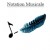 Formation Notation musicale