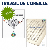 Travail de l'OREILLE MUSICALE ! 2 livres + 4 CD + dictées musicales