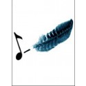 Study Music notation