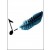 Study Music notation